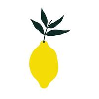 Lemon Citrus fruit on isolated background. botanical illustration of yellow Lime plant with branch and leaves for logo, sign, card, print, paper, label. Design element for food, cosmetics vector