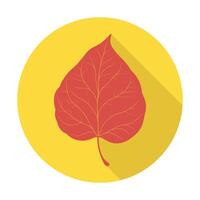 A red leaf on a yellow circle vector