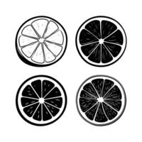 Four slices of lemon and lime on a white background vector