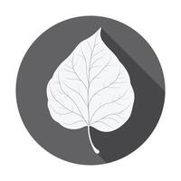 A leaf icon on a black background vector