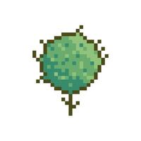 tree top view pixel retro vector