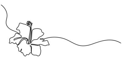 Hibiscus Flower Continuous Line Drawing with Editable Stroke, vector