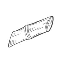 Sketch of sugarcane, with stems and leaves vector
