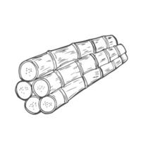 Pile of fresh raw sugar cane, sketch style illustration isolated on white background. vector