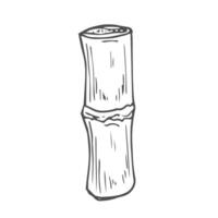 Sketch of sugarcane, with stems and leaves, isolated on a white background, suitable for packaging labels of processed sugarcane products. vector