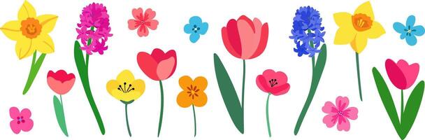 isolated spring bright objects flowers elements hyacinths tulips daffodils primrose crocus elegant floral design for web design decor textile postcards vector