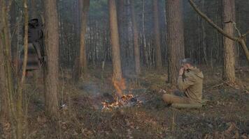 Man Sitting by Campfire in Forest Practicing Bushcraft Survival, Solo camper warming by fire in pine forest, enjoying peaceful bushcraft survival experience video