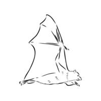 bat flying fox sketch vector