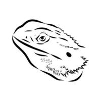agama reptile sketchWeb vector