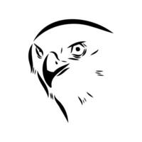 the head of a brown hawk predator vector
