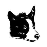 The head of a smart border collie dog black and white sketch vector
