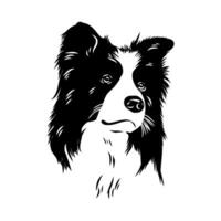 The head of a border collie shepherd dog sketch vector