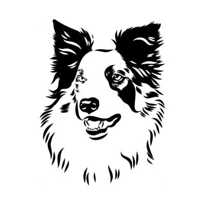 border collie shepherd dog head black and white sketch