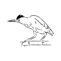 Migratory bird drink handmade sketch vector