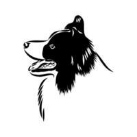 the head of a smart border collie dog handmade sketch vector