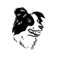 The head of a smart border collie dog sketch vector