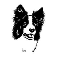 head of a border collie shepherd dog handmade sketch vector