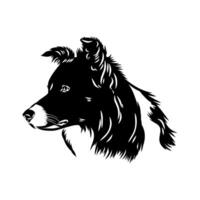 The head of the smartest border collie dog sketch vector