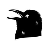 bird's head black crow sketch vector