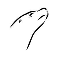 mammalian sea lion head black and white sketch vector