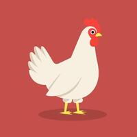 Chicken flat illustration. White chicken isolated on solid background. Minimalistic modern style vector