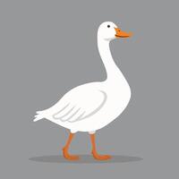 Goose flat illustration. White farm bird isolated on solid background. Minimalistic modern style vector
