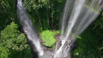 Aerial view of majestic Sekumpul Waterfall in lush green jungle, Bali, Indonesia video