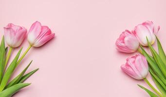 Tulips creating a frame on pastel pink background photo