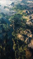 Aerial View of Lush Green Landscape photo