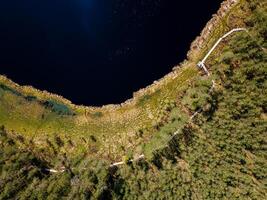 Aerial View of Wooden Boardwalk Through Forest and Along Water's Edge photo