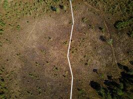 Aerial View of Wooden Boardwalk in Dry Grassland with Sparse Trees photo