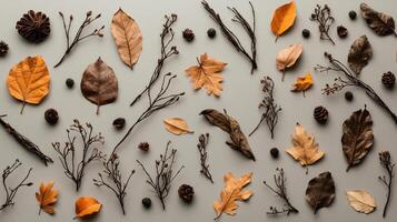 Autumn leaves and branches on a gray background photo