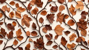 A bunch of brown leaves arranged in a pattern photo