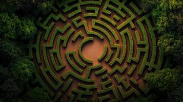 A circular maze surrounded by trees and bushes photo