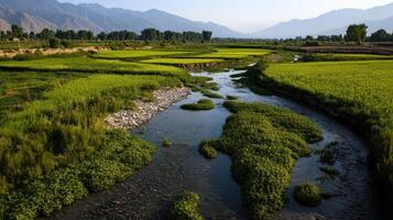 A river flowing through a lush green field photo