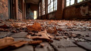 Leaves on the floor of an abandoned building photo