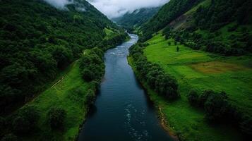 A river runs through a green valley surrounded by trees photo