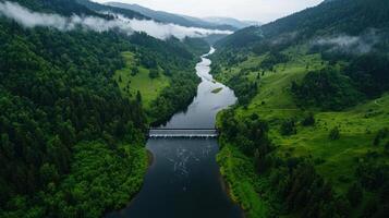 An aerial view of a river in the middle of a forest photo