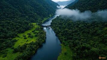 A river flowing through a green valley surrounded by trees photo