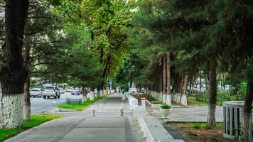 A street with trees and a sidewalk photo