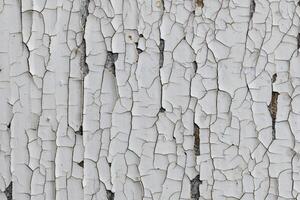 Weathered white paint revealing cracked texture on an aging wall surface in a forgotten urban setting photo