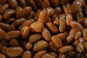 Exploring the rich texture and color of freshly harvested brown beans gathered for culinary creations photo