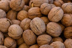 Harvested walnuts piled together, showcasing their textured shells and natural hues under soft lighting photo