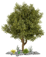 3d model of a lemon tree with rocks and plants png