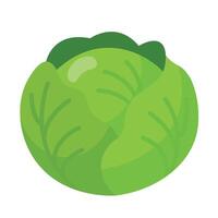 Green cabbage icon in flat style Perfect for healthy food projects, grocery apps, vegetarian menus, and educational materials about vegetables vector