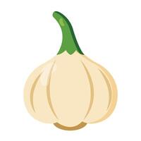 Simple flat garlic illustration with clean lines and natural colors Perfect for cooking guides, food blogs, healthy recipes, spice packaging, or educational projects vector