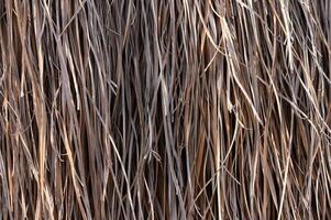Natural textures of dry grass creating a rustic background for crafts and decorations in a sunny summer afternoon photo