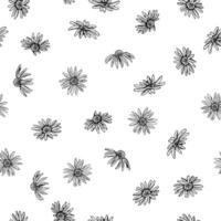 Seamless pattern with hand drawn wildflowers in ink. Featuring daisy-like blooms resembling echinacea, chamomile, calendula or rudbeckia. Ideal for eco packaging, textile, cards and botanical designs. vector