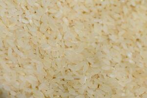 Exploring the textures of uncooked rice grains in a close-up view under soft lighting photo