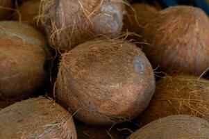 Coconuts resting together in a rustic market stall surrounded by earthy textures and vibrant colors photo